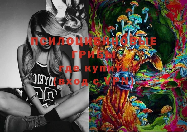 стаф Лихославль