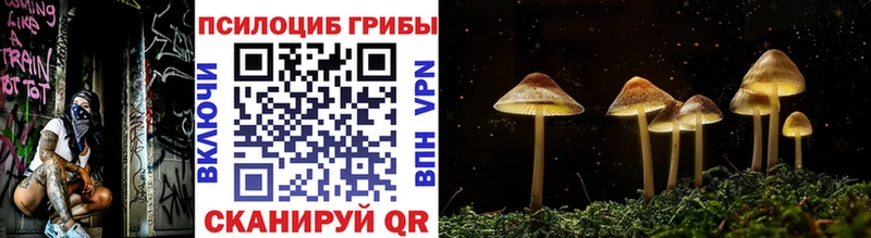 Галлюциногенные грибы MAGIC MUSHROOMS  Тимашёвск 